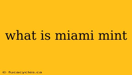 what is miami mint