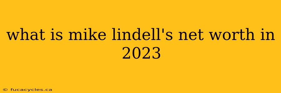 what is mike lindell's net worth in 2023