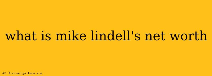 what is mike lindell's net worth