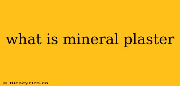 what is mineral plaster