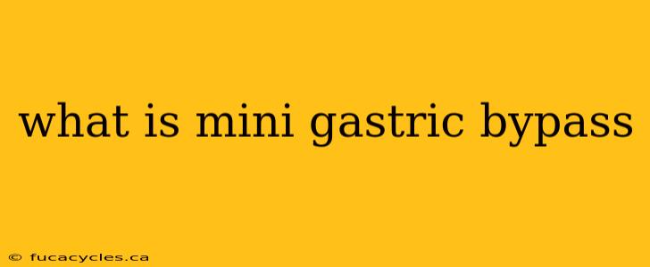 what is mini gastric bypass