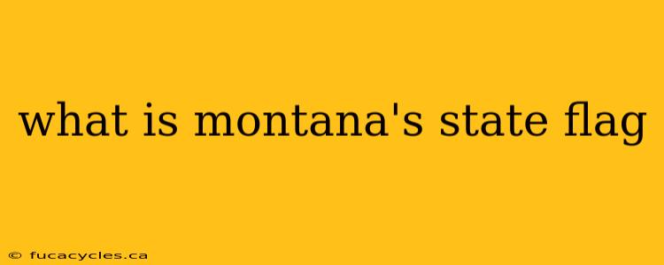 what is montana's state flag