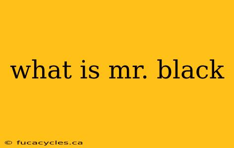 what is mr. black