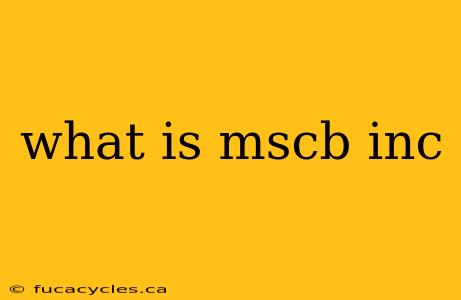 what is mscb inc