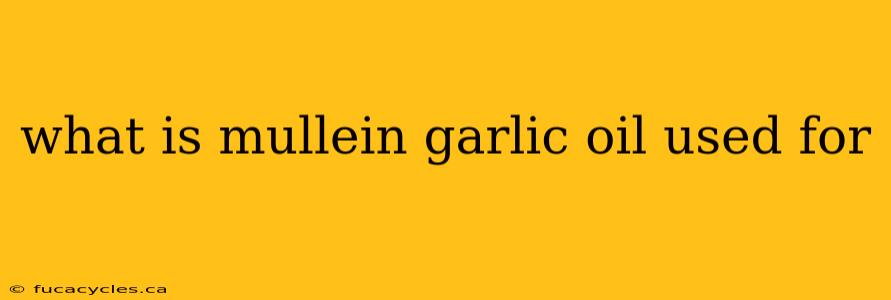 what is mullein garlic oil used for