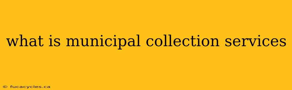 what is municipal collection services