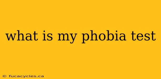 what is my phobia test