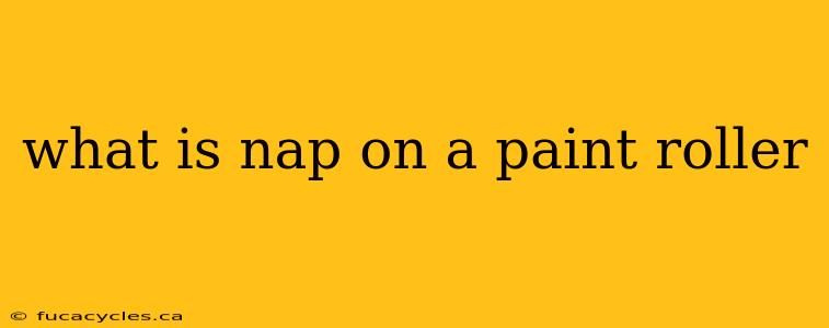 what is nap on a paint roller