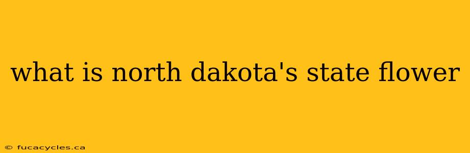 what is north dakota's state flower