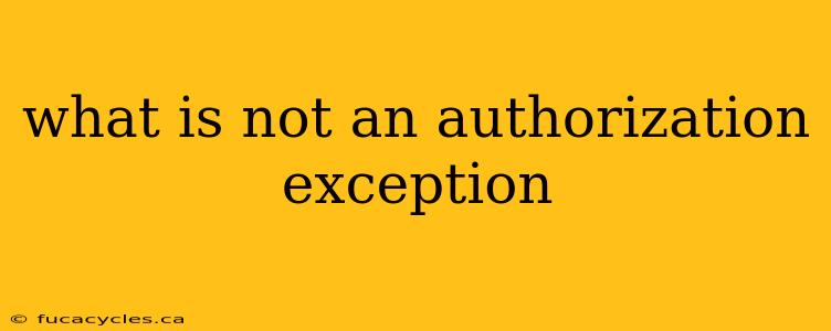 what is not an authorization exception