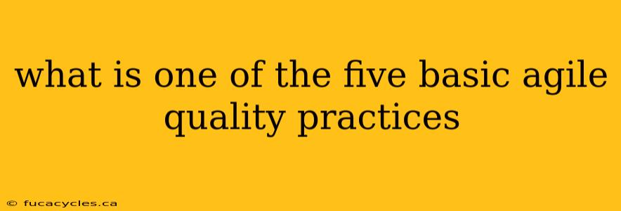 what is one of the five basic agile quality practices