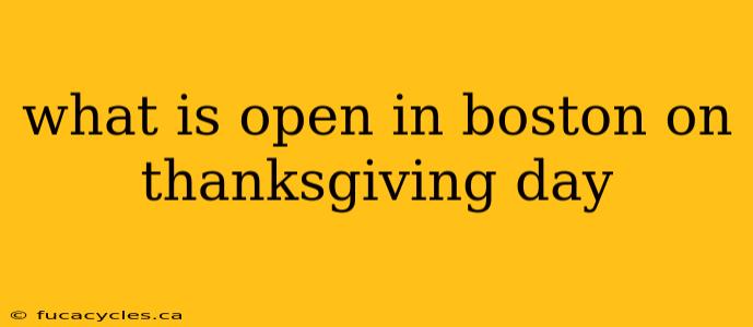 what is open in boston on thanksgiving day