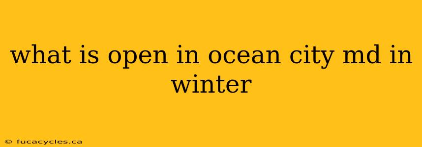 what is open in ocean city md in winter