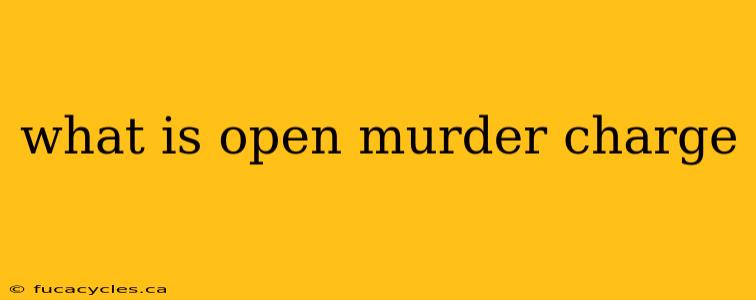 what is open murder charge