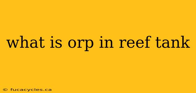 what is orp in reef tank