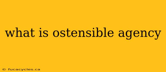 what is ostensible agency