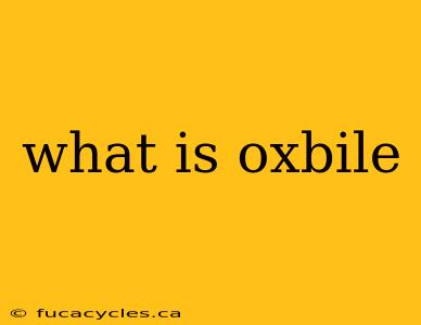 what is oxbile