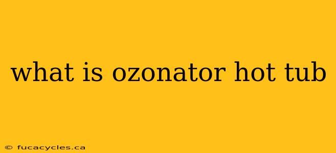 what is ozonator hot tub