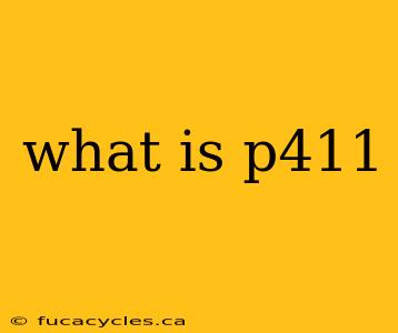 what is p411