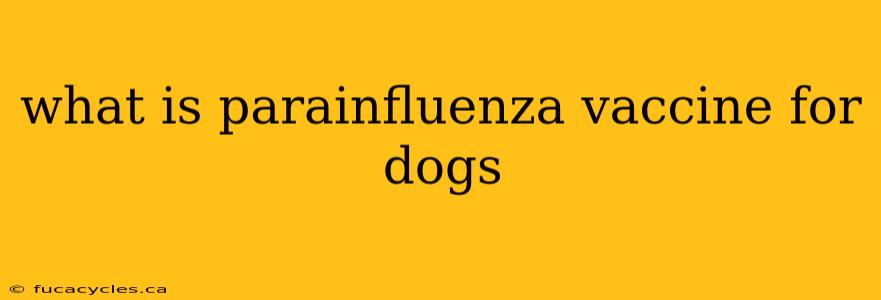 what is parainfluenza vaccine for dogs