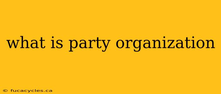 what is party organization