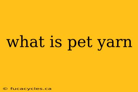 what is pet yarn