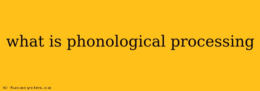 what is phonological processing