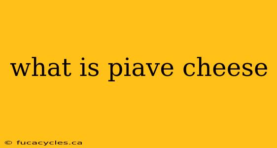 what is piave cheese