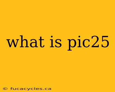 what is pic25