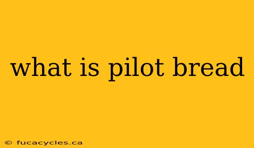 what is pilot bread