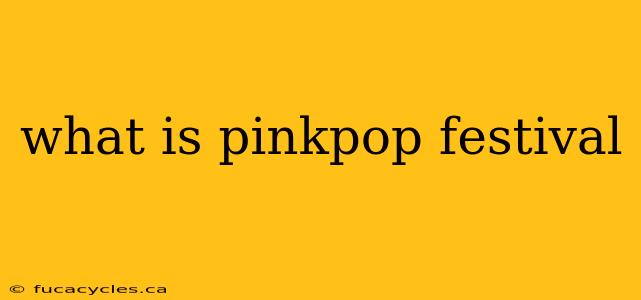 what is pinkpop festival