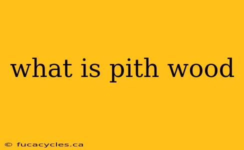 what is pith wood