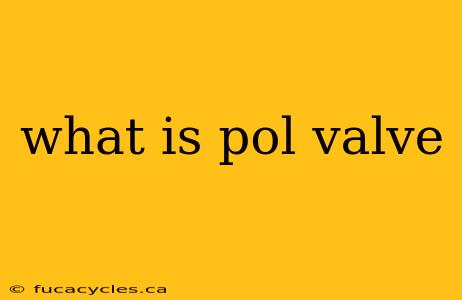 what is pol valve