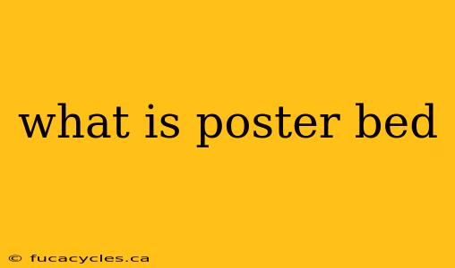 what is poster bed