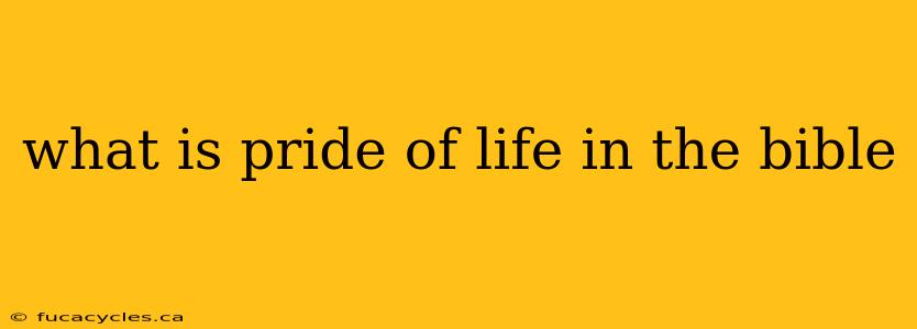 what is pride of life in the bible