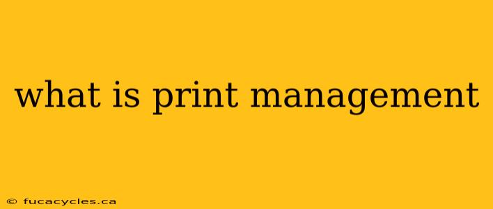 what is print management