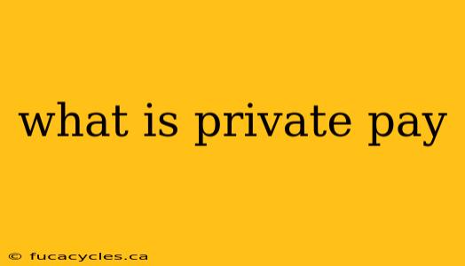 what is private pay