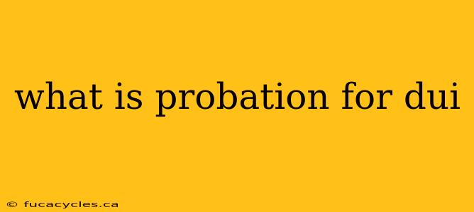 what is probation for dui