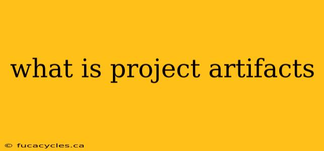 what is project artifacts