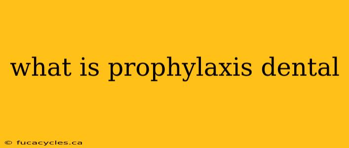 what is prophylaxis dental