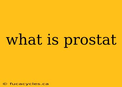 what is prostat