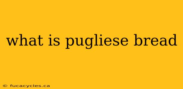 what is pugliese bread