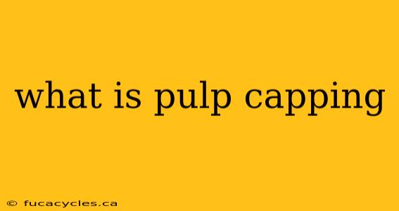 what is pulp capping