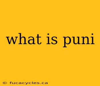 what is puni