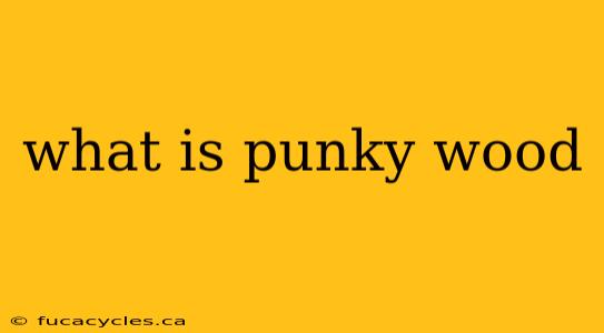 what is punky wood