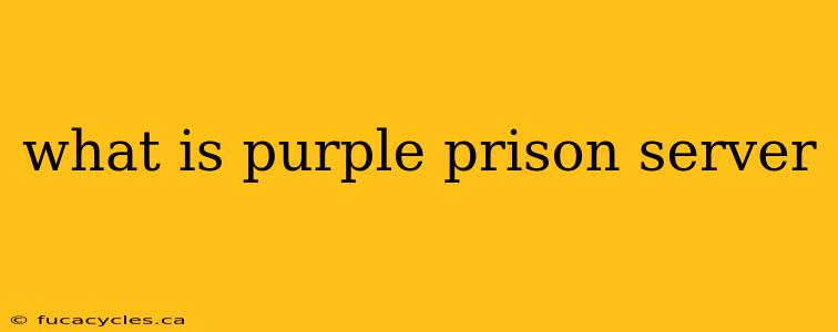 what is purple prison server