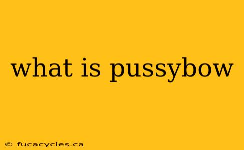 what is pussybow