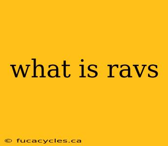 what is ravs