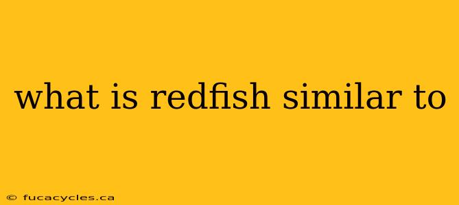 what is redfish similar to