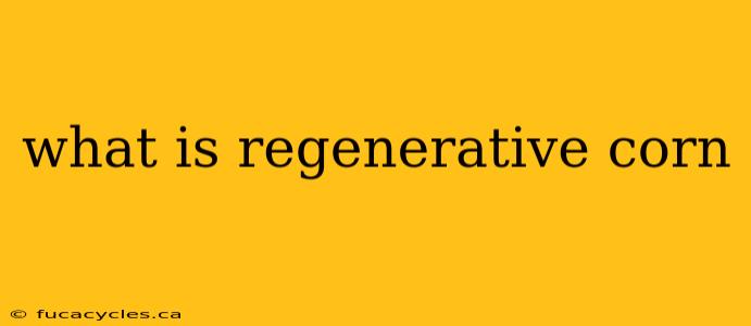 what is regenerative corn